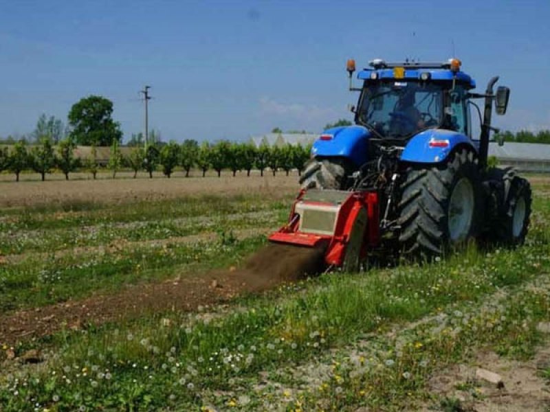 Stockfräse του τύπου Seppi Star FC 100 cm, Gebrauchtmaschine σε Vrå (Φωτογραφία 3)