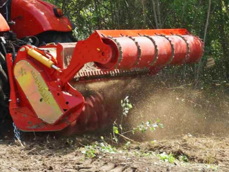 Stockfräse du type Seppi Starsoil 225, Gebrauchtmaschine en Vrå (Photo 7)