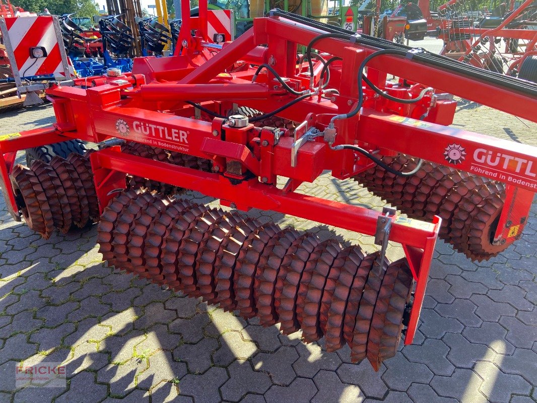 Striegel mit Nachsaateinrichtung van het type Güttler PW 640 ASL Master, Gebrauchtmaschine in Bockel - Gyhum (Foto 7)