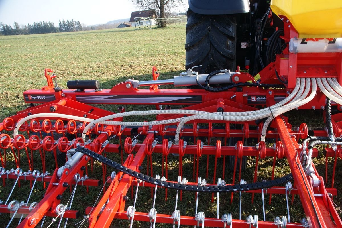 Striegel mit Nachsaateinrichtung Türe ait Sonstige Wiesenstriegel THOR BC 60-Neumaschine, Neumaschine içinde Eberschwang (resim 7)