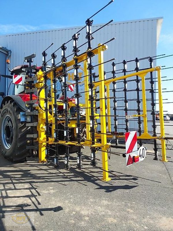 Striegel van het type Bednar PRO PN 6000, Vorführmaschine in Mühlhausen-Görmar (Foto 2)