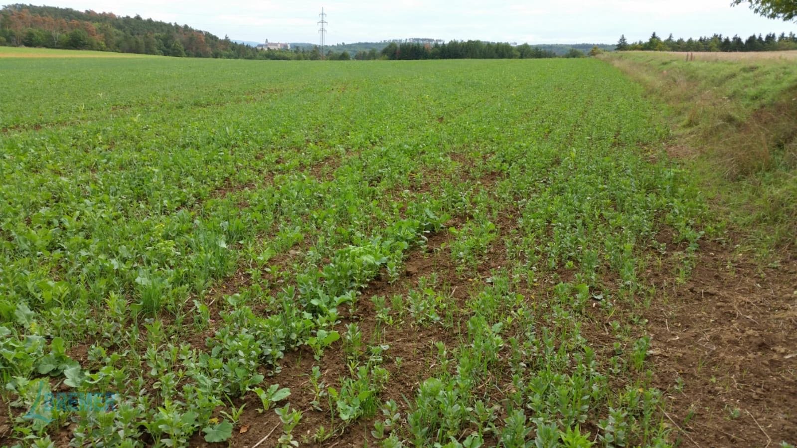 Striegel a típus Bremer Maschinenbau Wiesenstriegel GREEN-LINE GRST 300, Neumaschine ekkor: Hohenhameln (Kép 2)