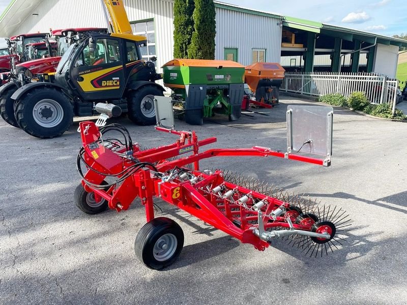 Striegel des Typs Einböck 300 Aerostar-Rotation Rollstriegel, Gebrauchtmaschine in St. Marienkirchen