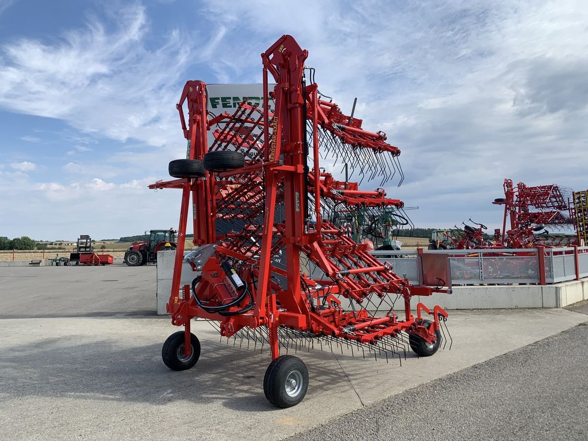 Striegel van het type Einböck Aerostar Exact 1200, Neumaschine in Starrein (Foto 2)