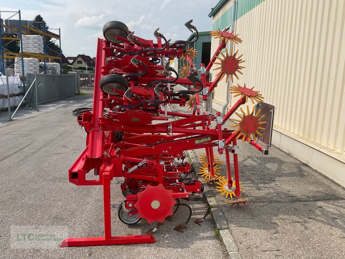 Striegel van het type Einböck Chopstar EMS 7 Reihig, Gebrauchtmaschine in Kalsdorf (Foto 9)