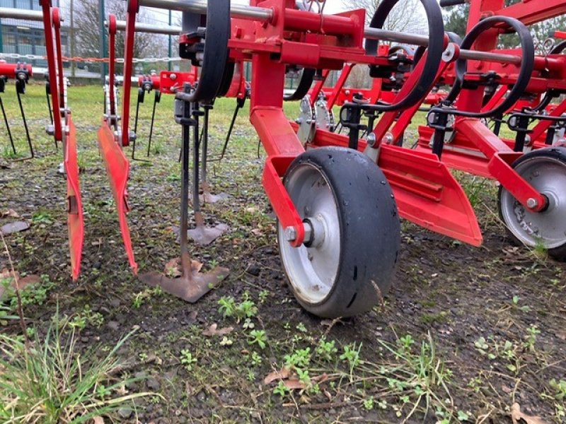 Striegel van het type Einböck Chopstar EMS, Gebrauchtmaschine in Bevern (Foto 11)