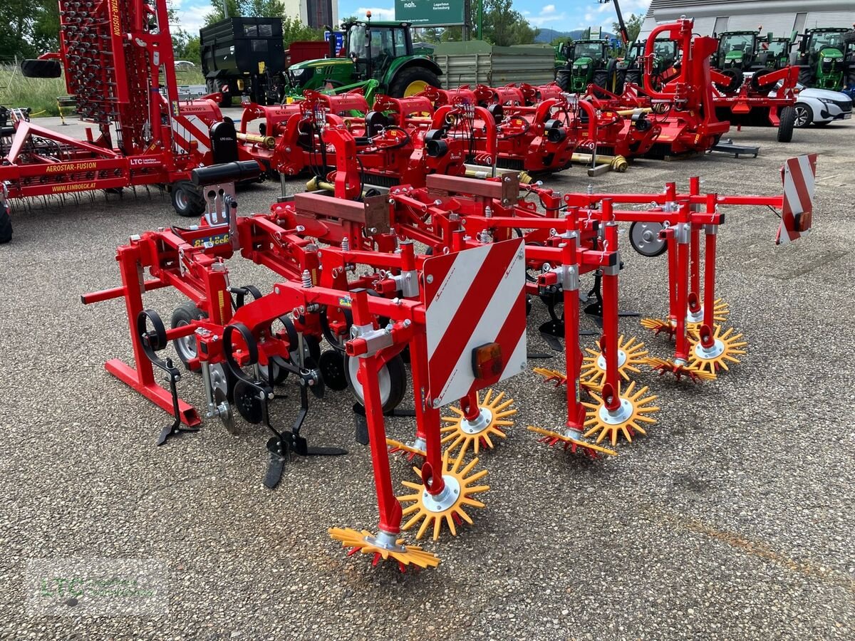 Striegel typu Einböck Chopstar Twin ETH 6-reihig, Gebrauchtmaschine v Korneuburg (Obrázok 4)