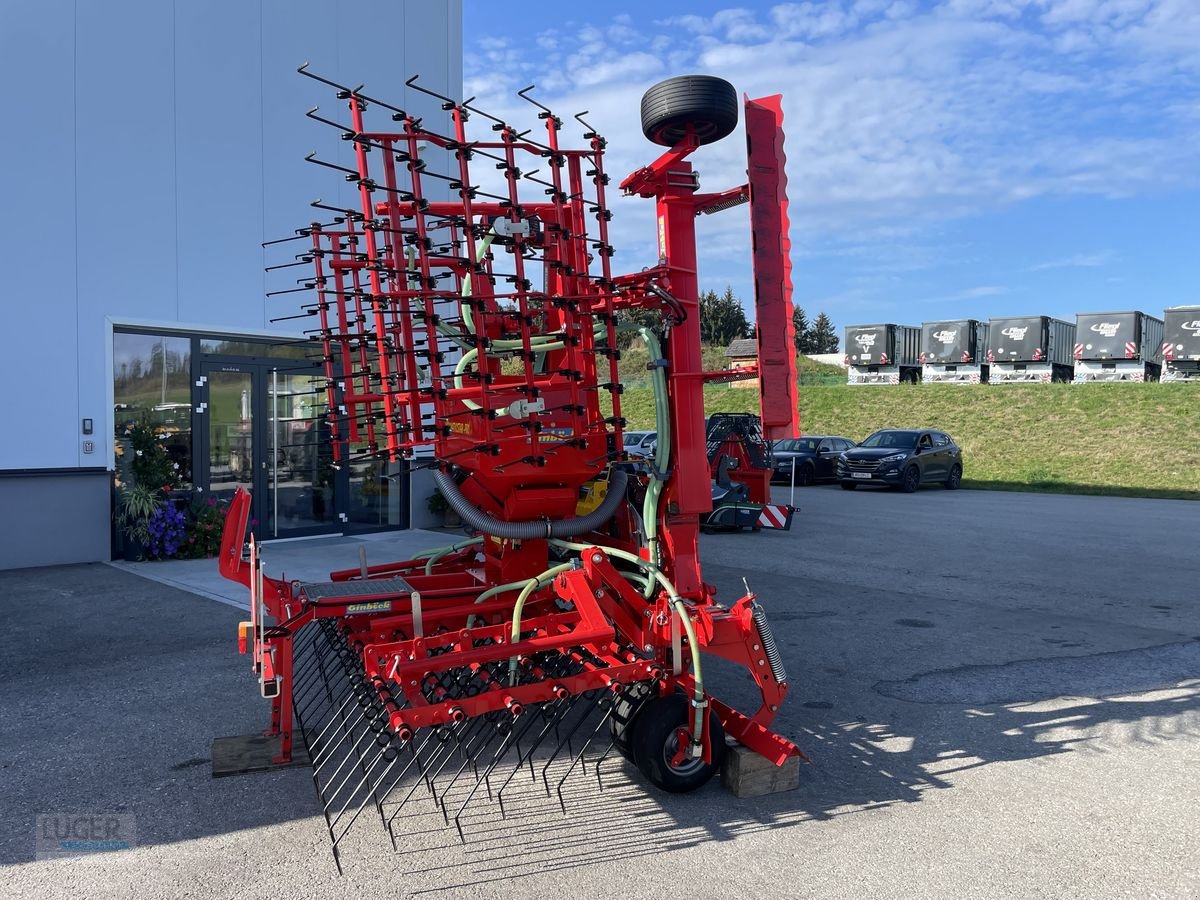 Striegel van het type Einböck Pneumaticstar Pro 600, Gebrauchtmaschine in Niederkappel (Foto 2)