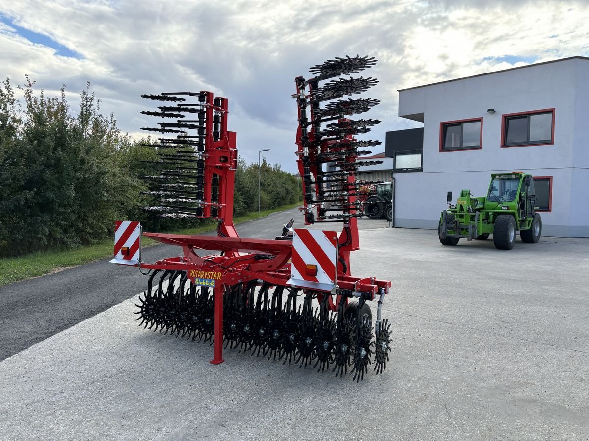 Striegel van het type Einböck Rotarystar 600, Neumaschine in Starrein (Foto 8)