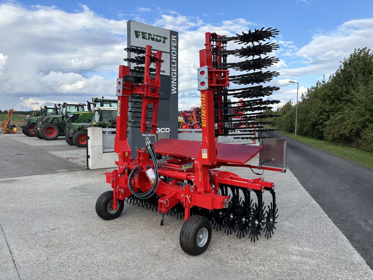 Striegel van het type Einböck Rotarystar 600, Neumaschine in Starrein (Foto 3)