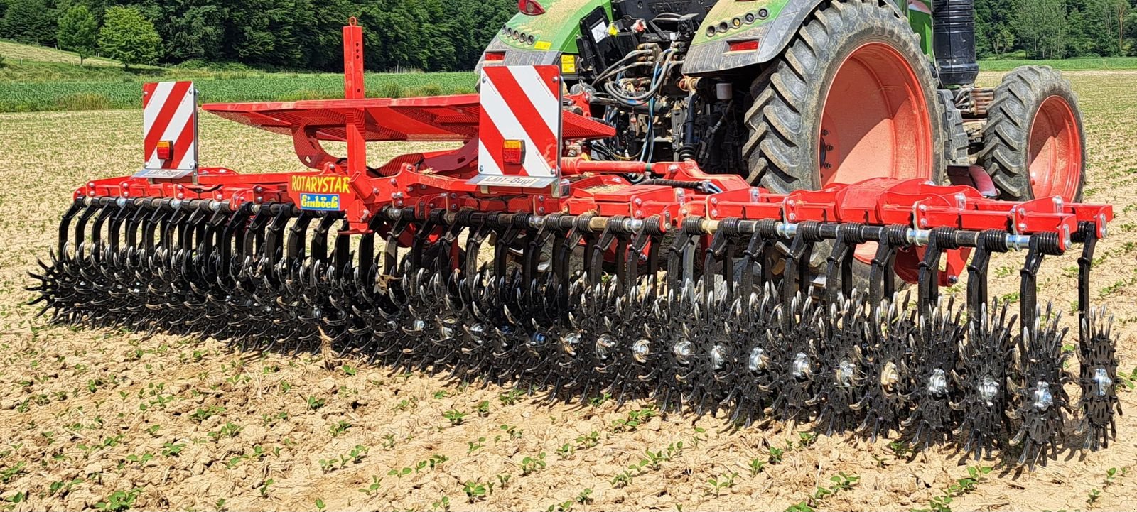 Striegel des Typs Einböck Rotarystar 640, Gebrauchtmaschine in Burgkirchen (Bild 7)