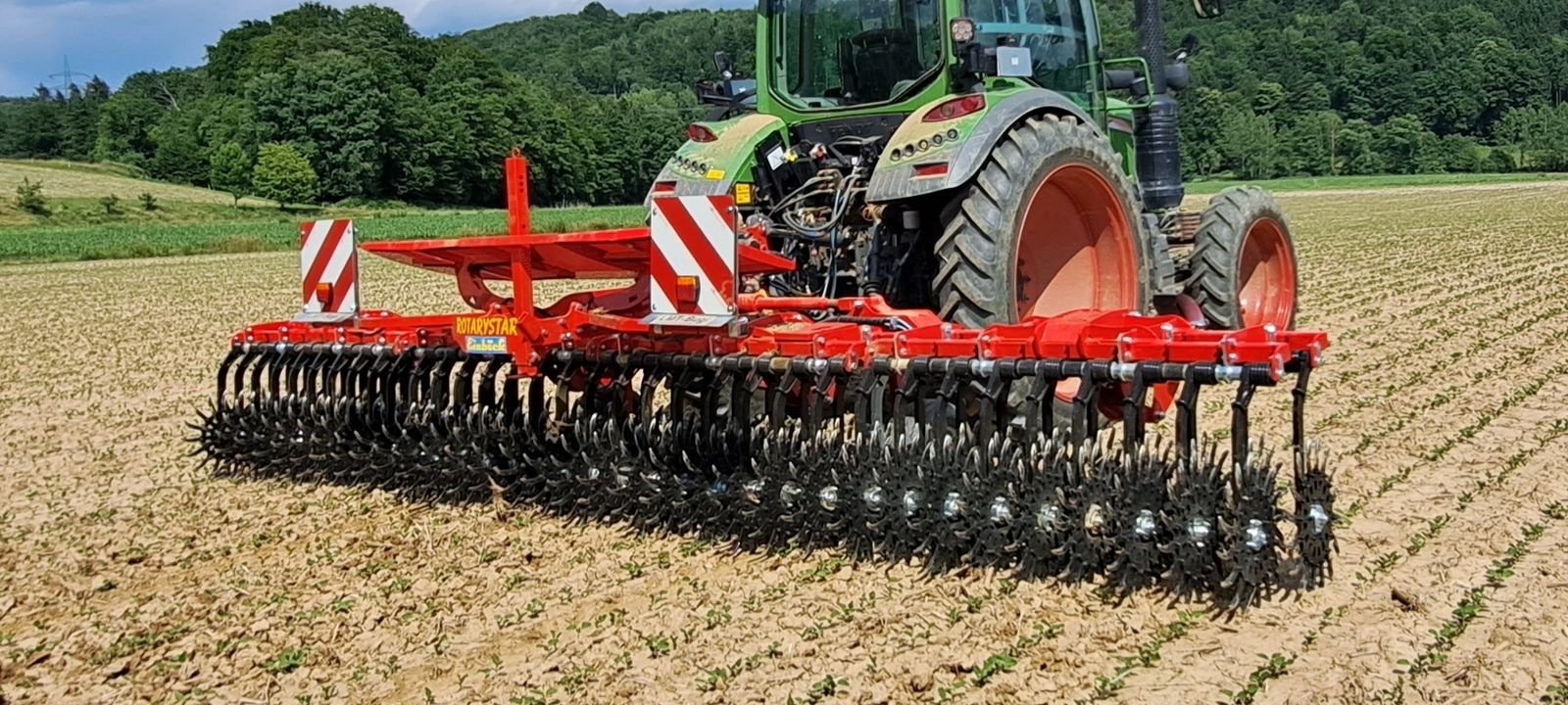 Striegel del tipo Einböck Rotarystar 640, Gebrauchtmaschine In Burgkirchen (Immagine 8)