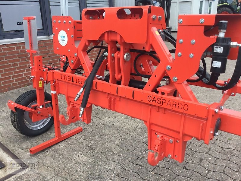 Striegel van het type Gaspardo MASCHIO INTELLIGENTE Verschiebrahmen, Gebrauchtmaschine in Asendorf (Foto 14)