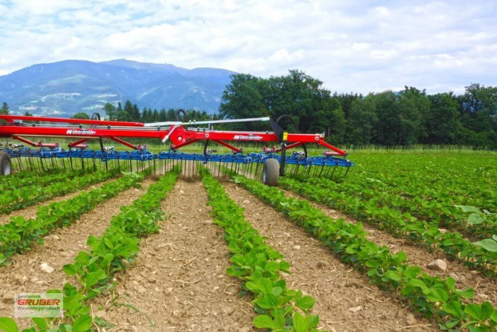 Striegel tip Hatzenbichler 7,5m Orginalstriegl - abgelagert, Neumaschine in Dorfen (Poză 1)