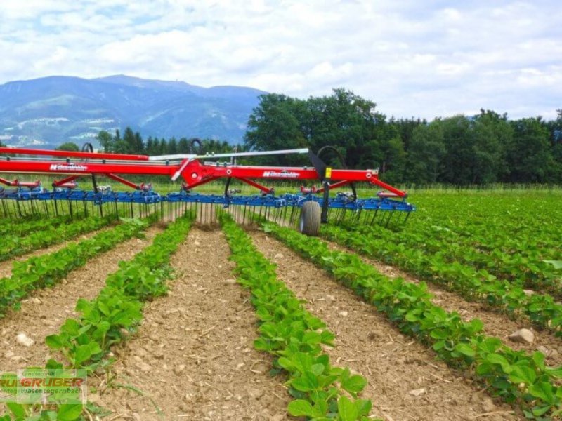 Striegel tipa Hatzenbichler 7,5m Orginalstriegl - abgelagert, Neumaschine u Dorfen (Slika 1)