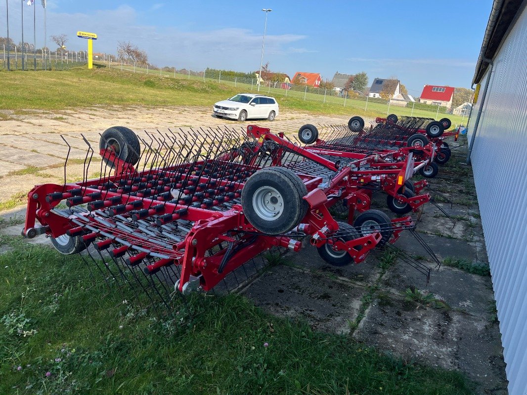 Striegel Türe ait Horsch Cura 12 ST, Vorführmaschine içinde Ebersbach (resim 3)