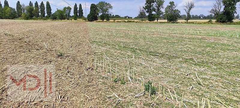 Striegel van het type MD Landmaschinen KR Hackstriegel Gamma Plus 6,0m - 7,0m, Neumaschine in Zeven (Foto 7)