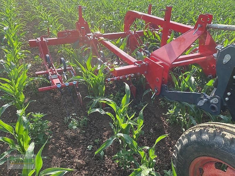 Striegel tip Sonstige R 4, Vorführmaschine in Unterschneidheim-Zöbingen (Poză 5)