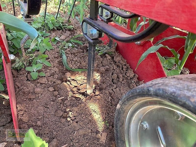 Striegel tip Sonstige R 4, Vorführmaschine in Unterschneidheim-Zöbingen (Poză 9)