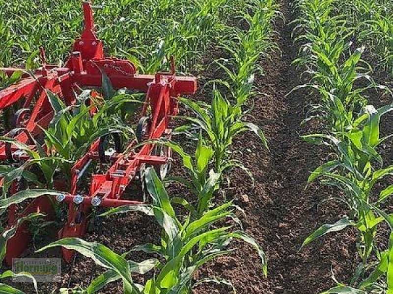 Striegel des Typs Sonstige R 4, Vorführmaschine in Unterschneidheim-Zöbingen (Bild 1)