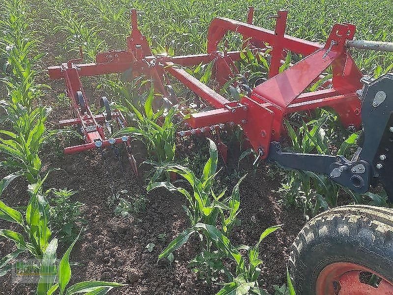 Striegel van het type Sonstige R 4, Vorführmaschine in Unterschneidheim-Zöbingen (Foto 9)