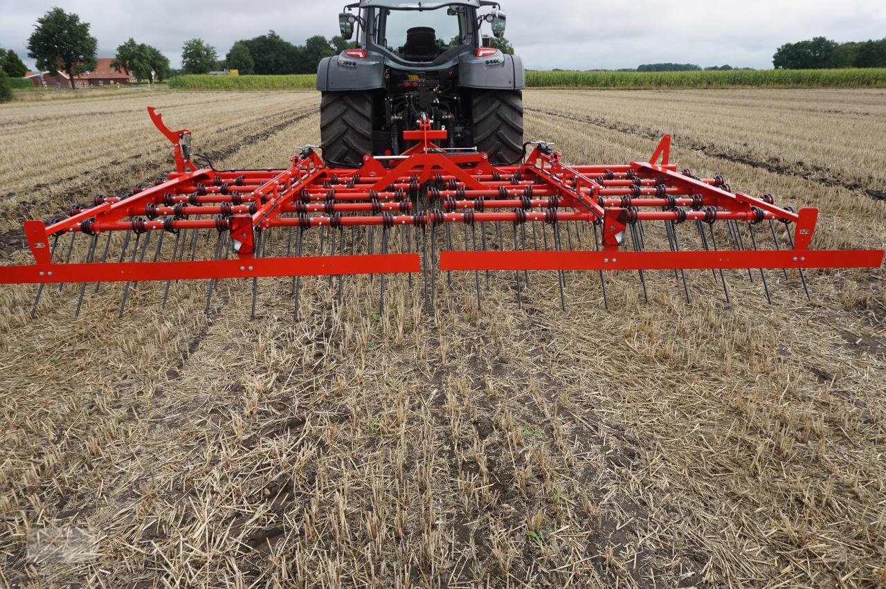 Striegel Türe ait Sonstige Ziegler Straw Master 6001 Strohstriegel, Neumaschine içinde Borken (resim 11)