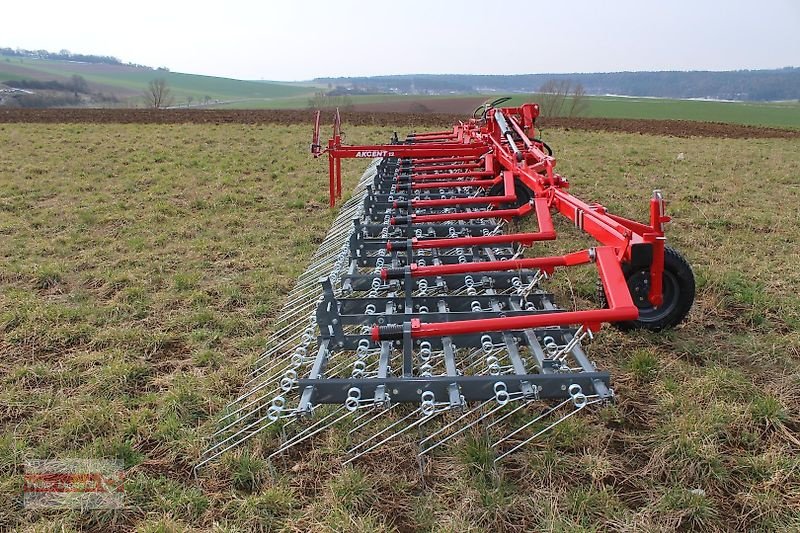 Striegel a típus Unia Akcent 12m, Neumaschine ekkor: Ostheim/Rhön (Kép 2)