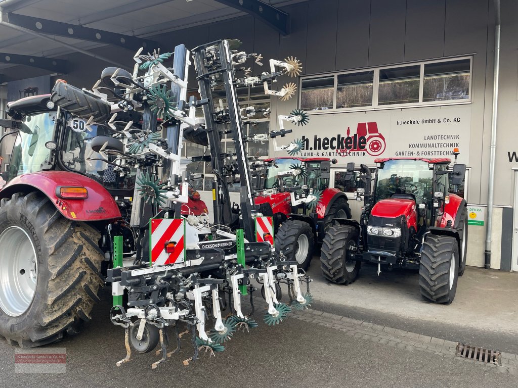 Striegeltechnik & Hacktechnik del tipo DicksonKerner Variofield 630, Gebrauchtmaschine en Epfendorf (Imagen 3)