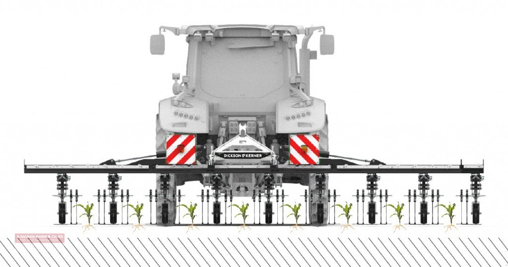 Striegeltechnik & Hacktechnik tip DicksonKerner Variofield 630, Gebrauchtmaschine in Epfendorf (Poză 11)