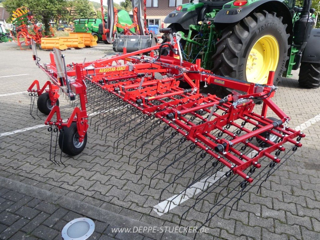 Striegeltechnik & Hacktechnik van het type Einböck Aerostar Exact 600, Gebrauchtmaschine in Lauterberg/Barbis (Foto 5)