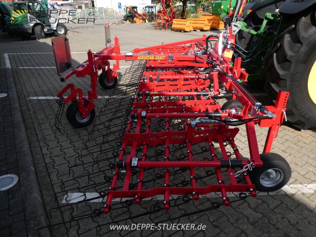 Striegeltechnik & Hacktechnik van het type Einböck Aerostar Exact 600, Gebrauchtmaschine in Lauterberg/Barbis (Foto 7)