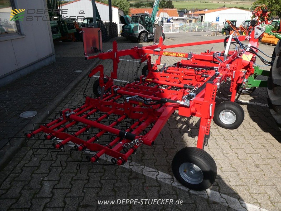 Striegeltechnik & Hacktechnik van het type Einböck Aerostar Exact 600, Gebrauchtmaschine in Lauterberg/Barbis (Foto 8)