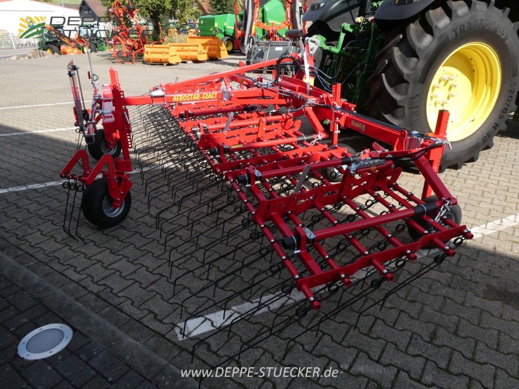 Striegeltechnik & Hacktechnik van het type Einböck Aerostar Exact 600, Gebrauchtmaschine in Lauterberg/Barbis (Foto 9)