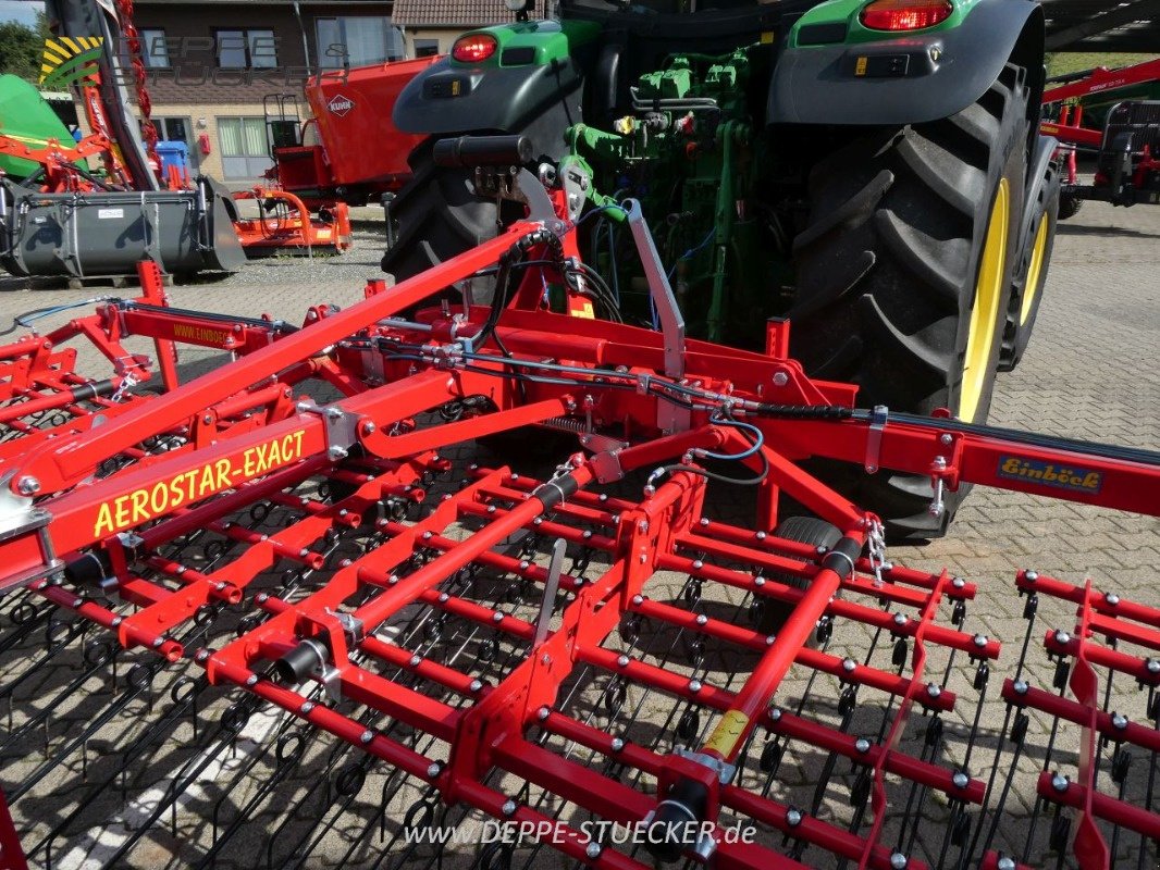 Striegeltechnik & Hacktechnik del tipo Einböck Aerostar Exact 600, Gebrauchtmaschine In Lauterberg/Barbis (Immagine 10)