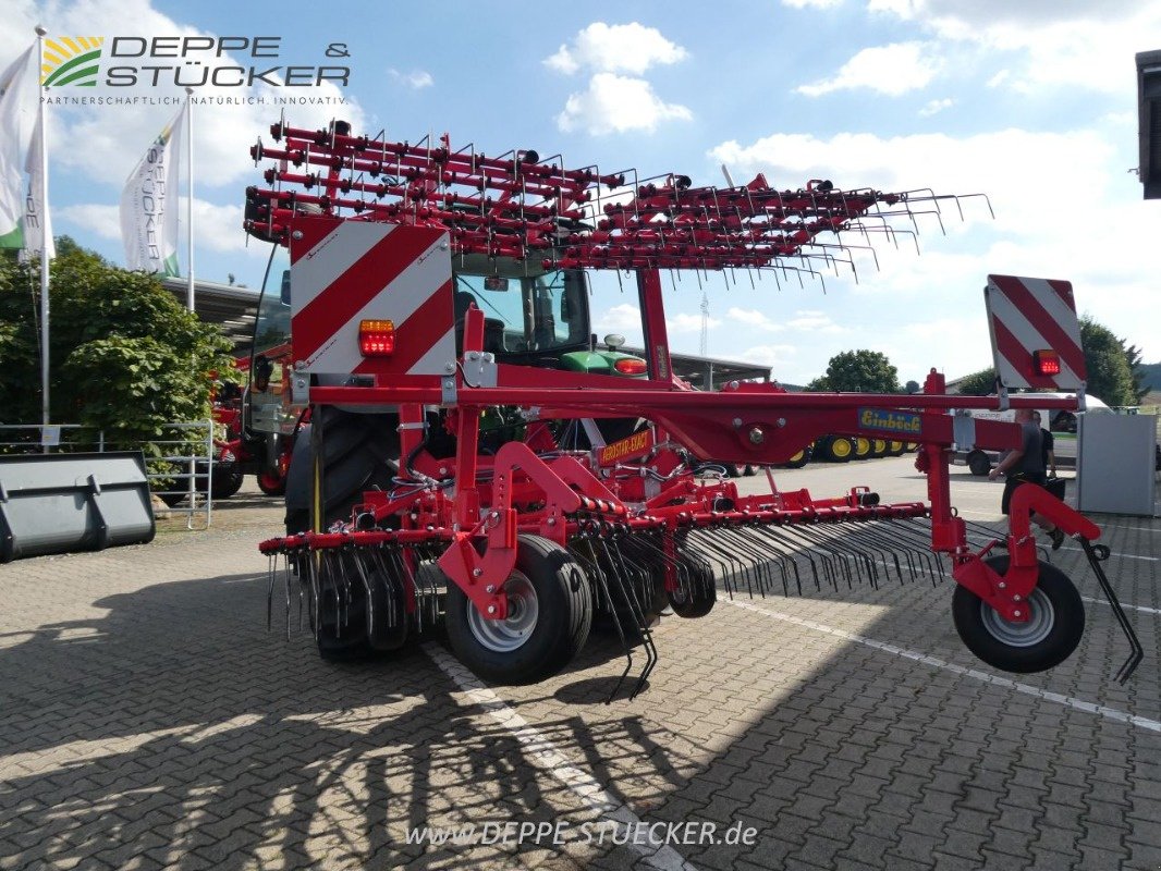 Striegeltechnik & Hacktechnik del tipo Einböck Aerostar Exact 600, Gebrauchtmaschine en Lauterberg/Barbis (Imagen 14)