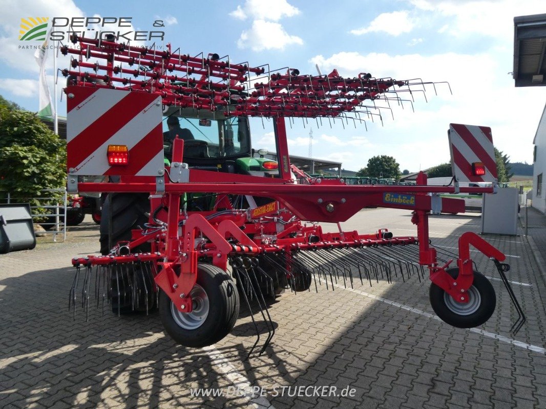 Striegeltechnik & Hacktechnik del tipo Einböck Aerostar Exact 600, Gebrauchtmaschine In Lauterberg/Barbis (Immagine 15)