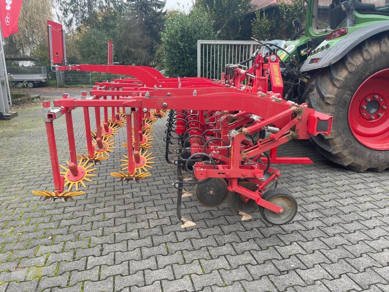 Striegeltechnik & Hacktechnik van het type Einböck Chopstar 3-60, Gebrauchtmaschine in Hessen - Reinheim (Foto 5)