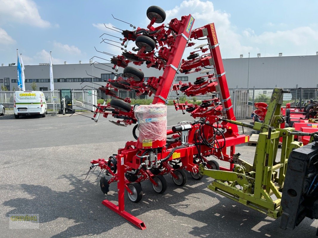 Striegeltechnik & Hacktechnik du type Einböck ChopStar ERS, Gebrauchtmaschine en Euskirchen (Photo 13)