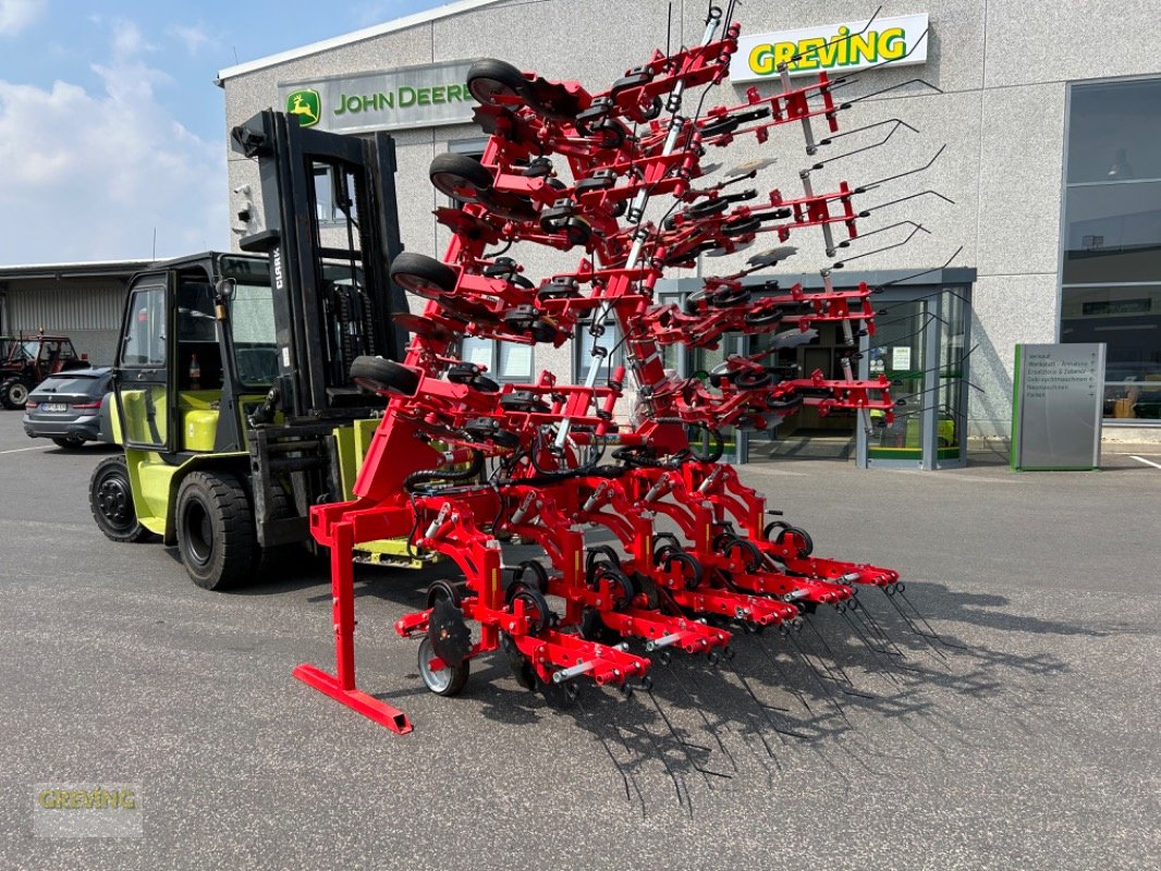 Striegeltechnik & Hacktechnik van het type Einböck ChopStar ERS, Gebrauchtmaschine in Euskirchen (Foto 2)