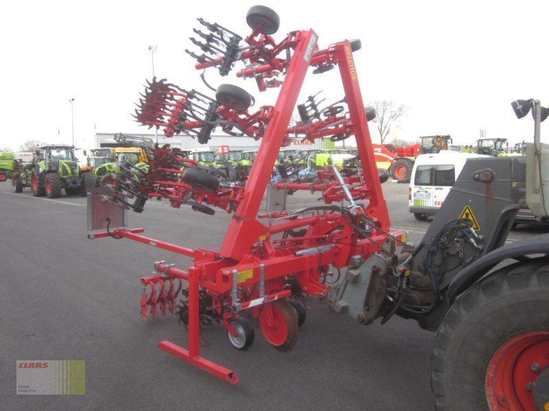 Striegeltechnik & Hacktechnik des Typs Einböck ROLLSTAR EMR 8-reiher Rollsternhackgerät, Maishack, Gebrauchtmaschine in Molbergen (Bild 3)