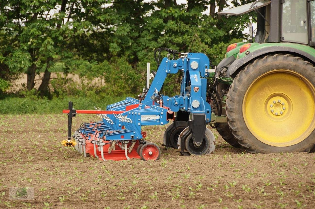 Striegeltechnik & Hacktechnik del tipo Hatzenbichler 12-reihig, Neumaschine en Hofheim (Imagen 3)