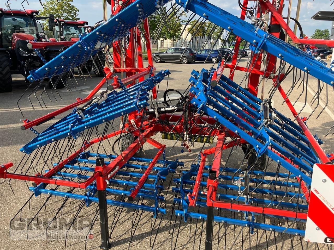 Striegeltechnik & Hacktechnik za tip Hatzenbichler Federzahnhackegge Striegel 12 m, Gebrauchtmaschine u Friedberg-Derching (Slika 10)