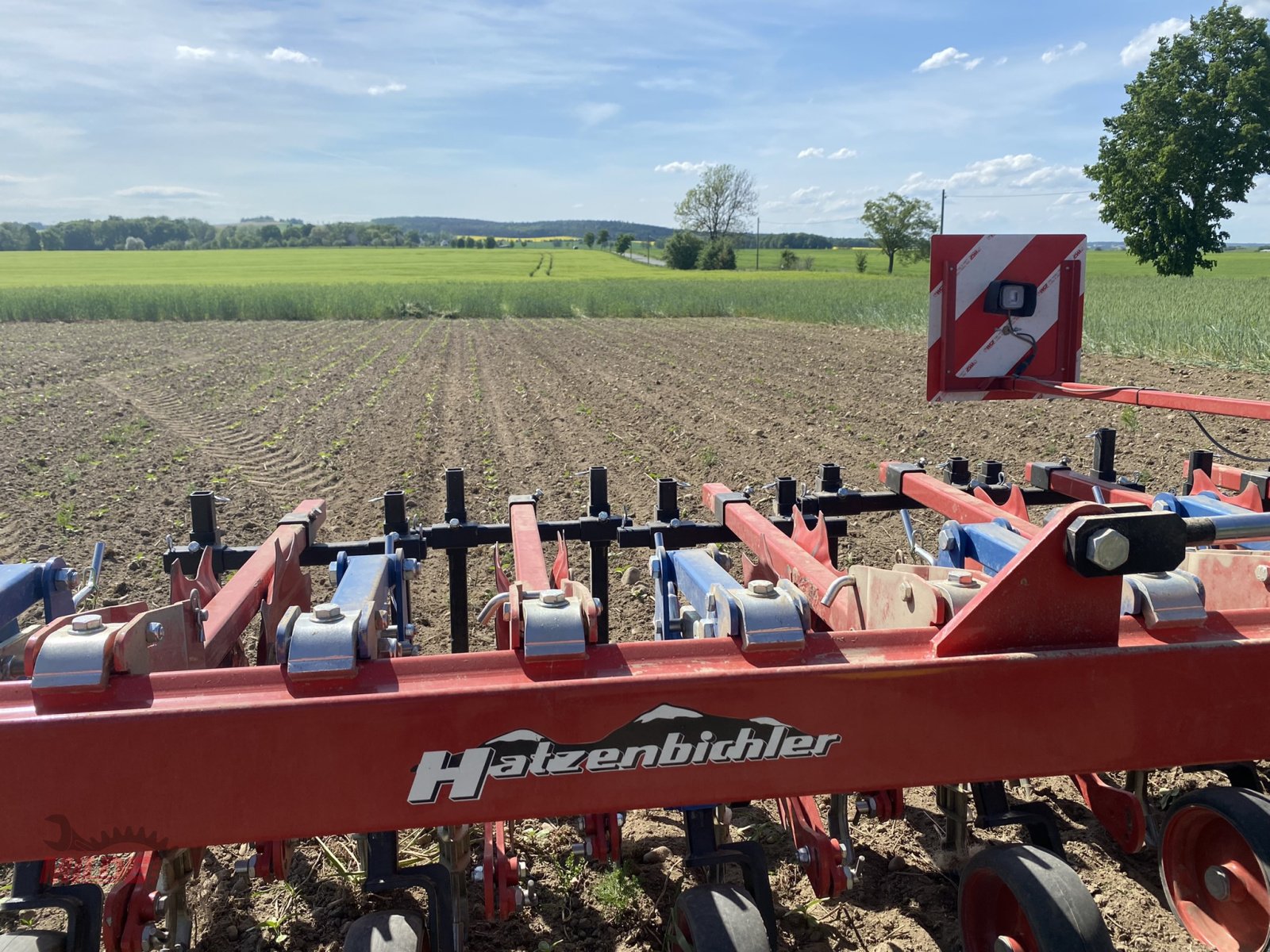 Striegeltechnik & Hacktechnik del tipo Hatzenbichler Rübenhacke 12 Rhg, Gebrauchtmaschine In Gebenbach (Immagine 9)