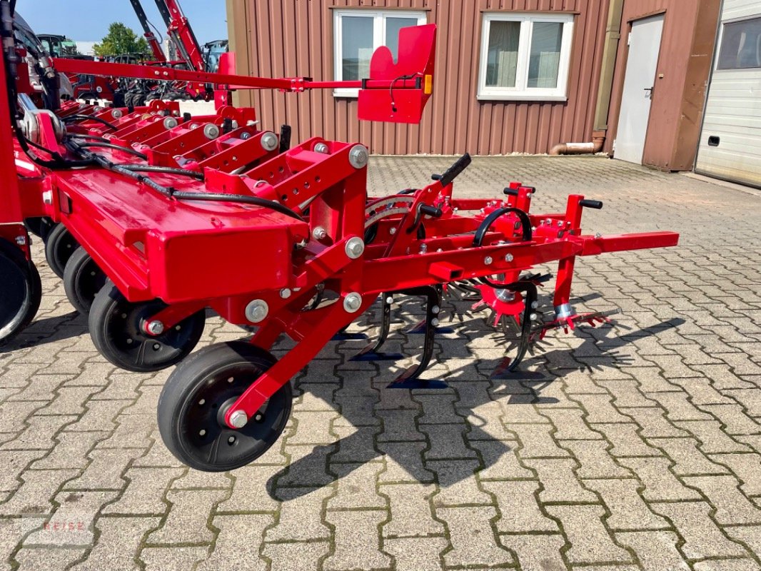 Striegeltechnik & Hacktechnik del tipo Horsch TRANSFORMER 6 VF, Neumaschine In Werne (Immagine 13)