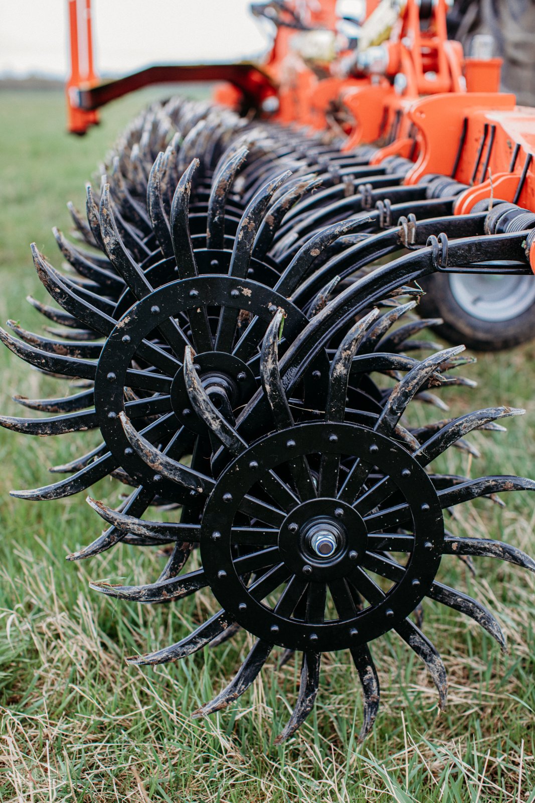 Striegeltechnik & Hacktechnik Türe ait Jar-Met 9m Rollhacke Rotorstriegel Rollstriegel 900, Neumaschine içinde Tiefenbach (resim 7)