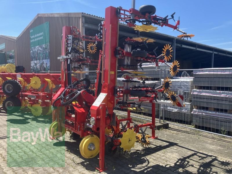 Striegeltechnik & Hacktechnik del tipo Pöttinger FLEXCARE V 6200, Vorführmaschine In Obertraubling (Immagine 1)