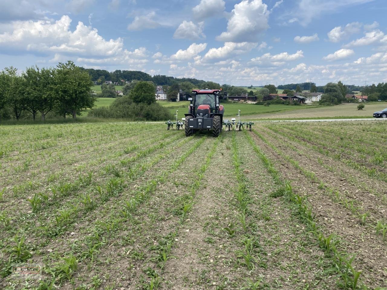 Striegeltechnik & Hacktechnik a típus Sonstige Garford InterRow 8 reihig Robo, Vorführmaschine ekkor: Tuntenhausen (Kép 2)