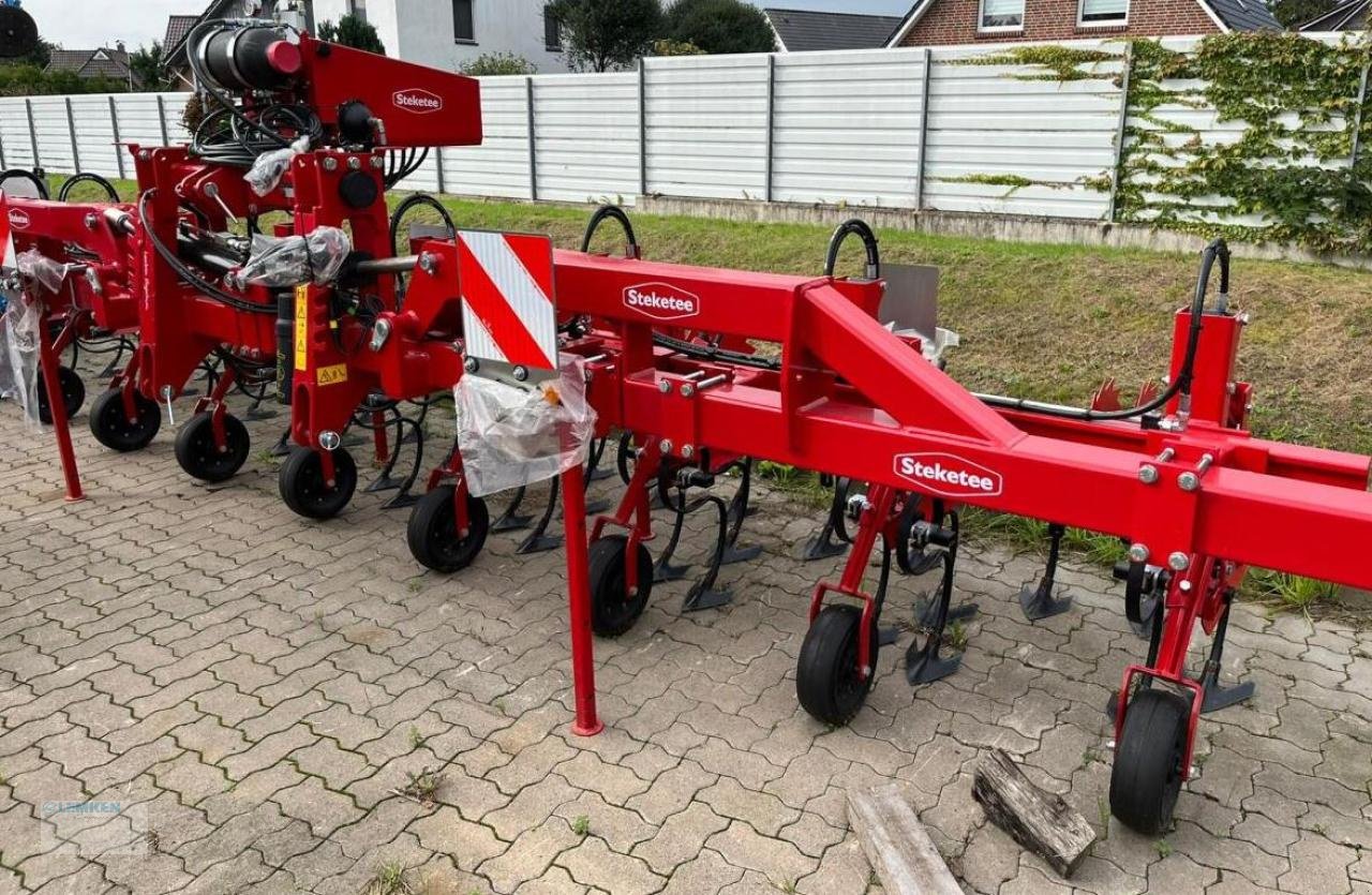 Striegeltechnik & Hacktechnik des Typs Steketee EC-Weeder 8 Hackmaschine 8x75 cm, Neumaschine in Lastrup (Bild 2)