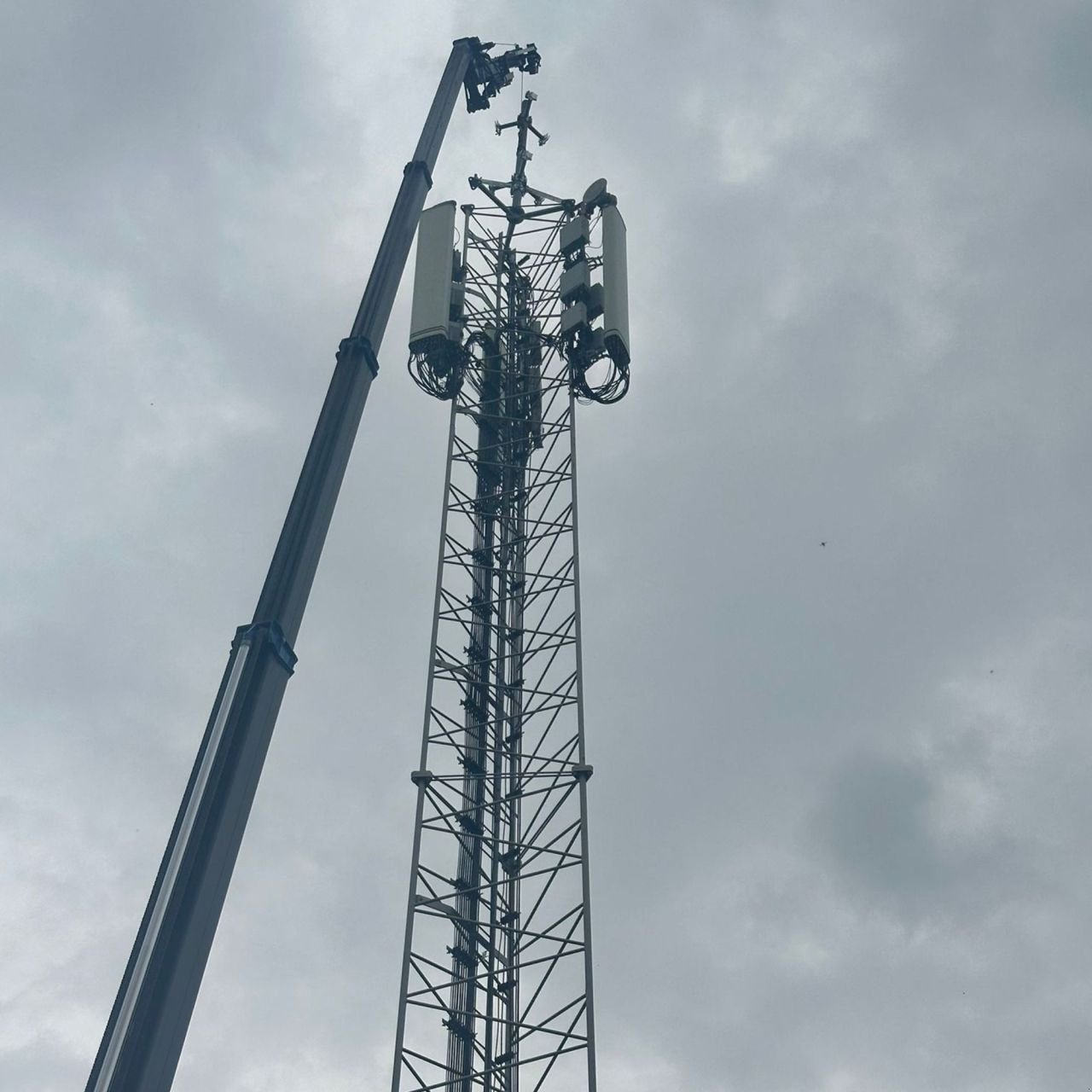 Teleskoparbeitsbühne du type Palazzani XTJ-32, Gebrauchtmaschine en Nieuw-Vennep (Photo 11)