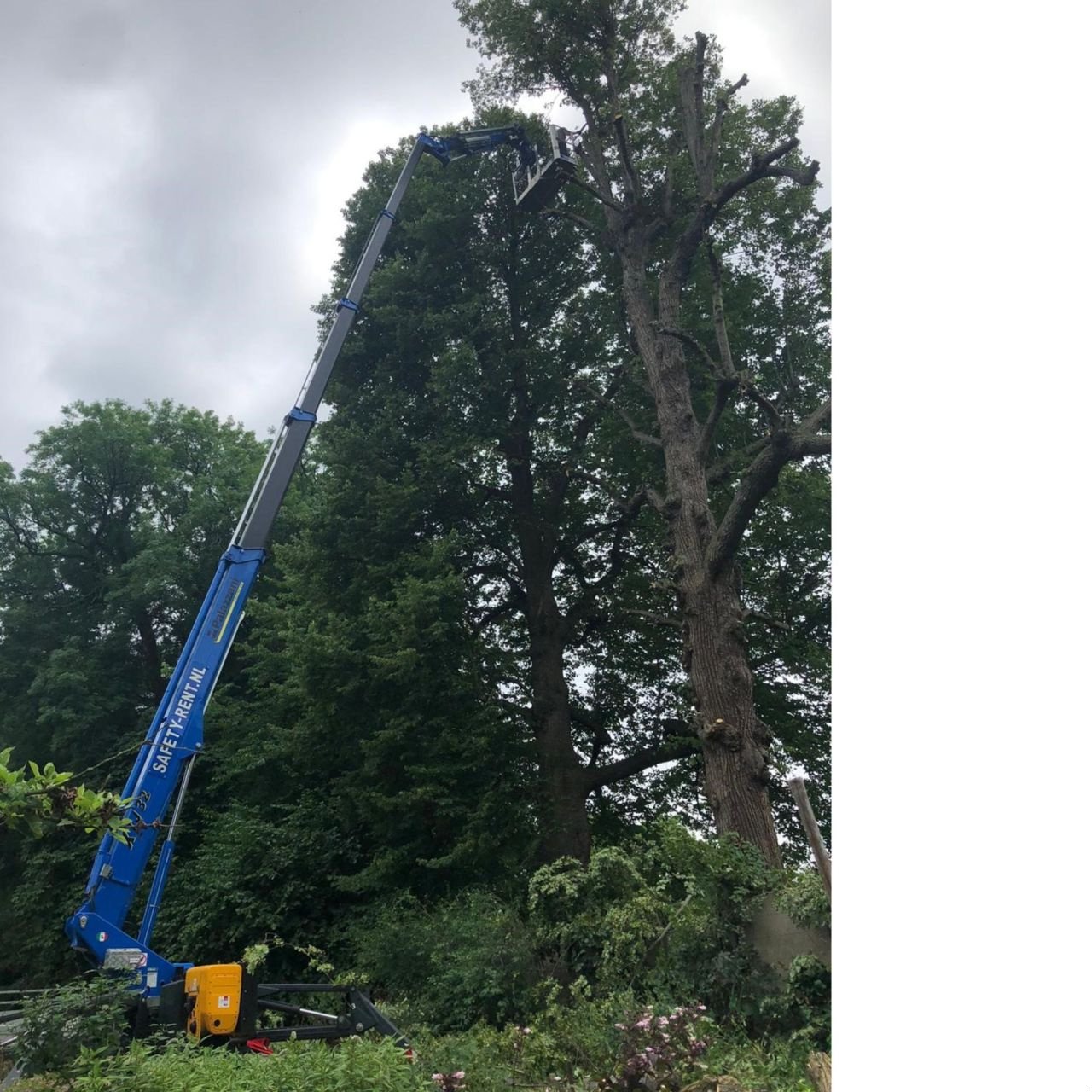 Teleskoparbeitsbühne tipa Palazzani XTJ-32, Gebrauchtmaschine u Nieuw-Vennep (Slika 3)